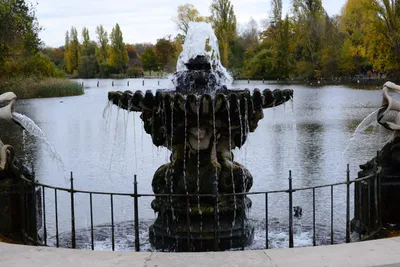 DSC_0563 (Large).JPG